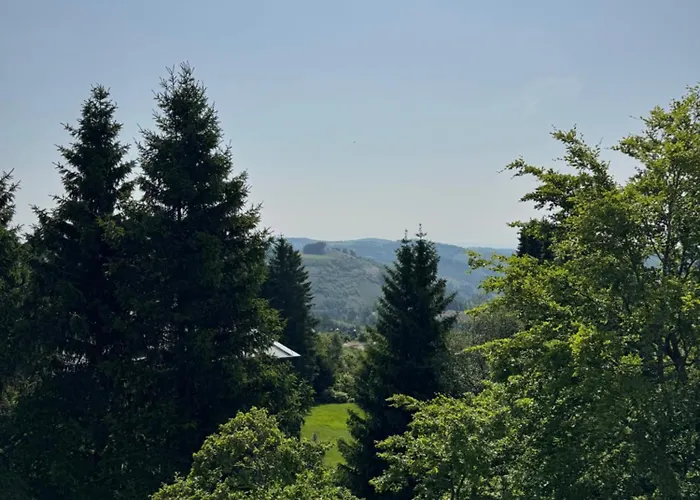 Mountain View * Winterberg